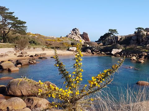 Camping aux Portes de Paimpol - Camping Côtes-d'Armor - Image N°15