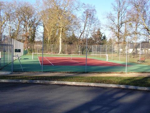 Camping Sunelia l'Etang de Sologne - Camping Loir-et-Cher - Image N°41