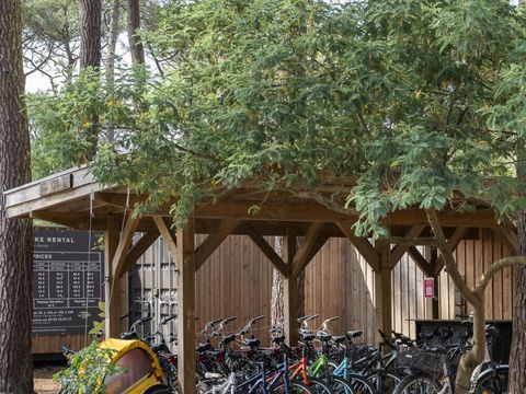  Camping Le Tedey - Camping Gironde - Image N°26