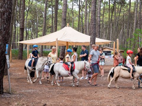  Camping Le Tedey - Camping Gironde - Image N°15