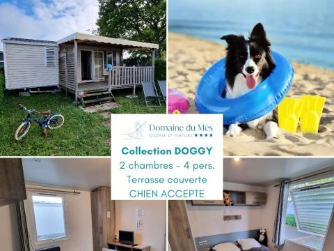 MOBILHOME 4 personnes - Mobil-Home DOGGY 3 Pièces 4 Personnes + TV
