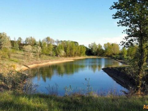 Aux 4 vues - Camping Aude - Image N°3