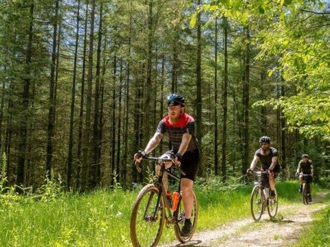 Arden Parks Signy-L'Abbaye - Camping Ardennes - Image N°13