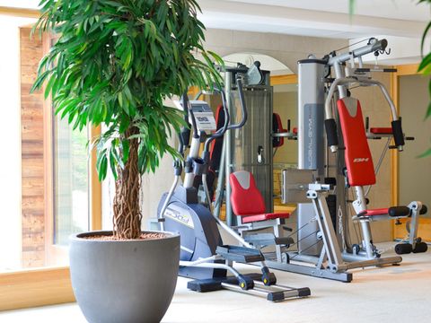 FranceComfort AlpResort Portes du Soleil FranceComfort AlpResort Portes du Soleil - Camping Haute-Savoie - Image N°19