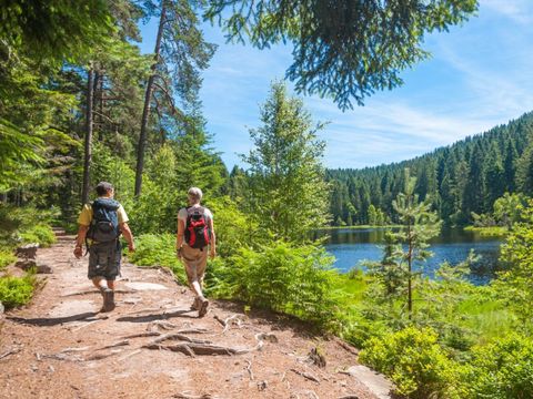 FranceComfort AlpResort Portes du Soleil FranceComfort AlpResort Portes du Soleil - Camping Haute-Savoie - Image N°26