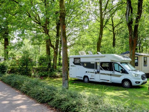TENTE TOILE ET BOIS 6 personnes - Tentes safari sans sanitaires 6 personnes
