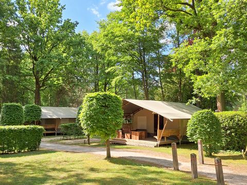 TENTE TOILE ET BOIS 6 personnes - Tentes safari sans sanitaires 6 personnes