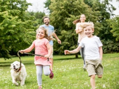 Floreal Holidays Camping Het Veen - Camping Flandre Occidentale - Image N°4