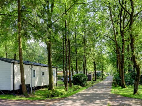 Floreal Holidays Camping Het Veen - Camping Flandre Occidentale - Image N°12
