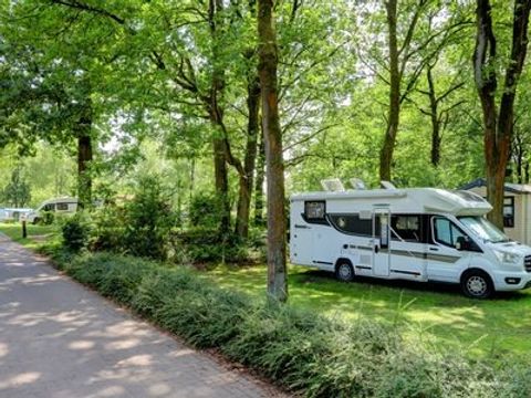 Floreal Holidays Camping Het Veen - Camping Flandre Occidentale - Image N°7