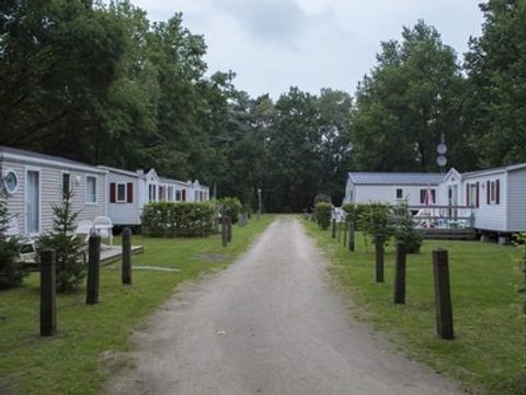 Floreal Holidays Camping Het Veen - Camping Flandre Occidentale - Image N°4