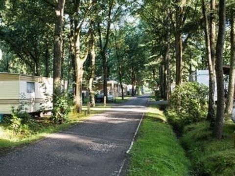 Floreal Holidays Camping Het Veen - Camping Flandre Occidentale - Image N°3