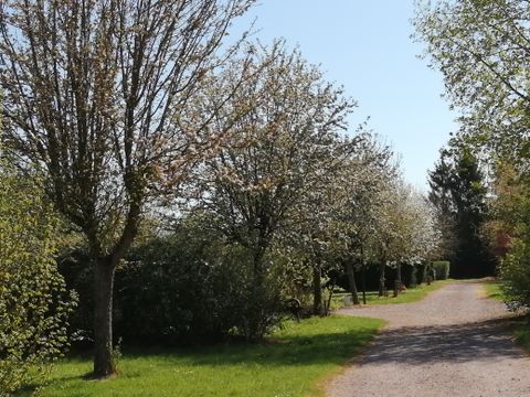 Camping Ushuaïa Villages - Les Pommiers Pays d'Auge - Camping Eure - Image N°11