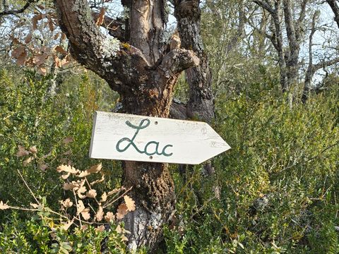 Camping Verdon les Grands Domaines - Camping Alpes-de-Haute-Provence - Image N°3