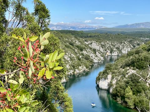 Camping Verdon les Grands Domaines - Camping Alpes-de-Haute-Provence - Image N°5
