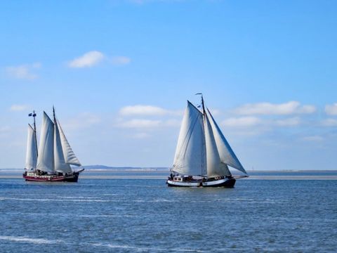Dormio Resort Medemblik - Camping Bergen - Image N°12