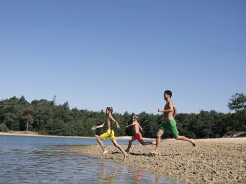 Dormio Resort De Hondsrug - Camping Aa und Hunze - Image N°14