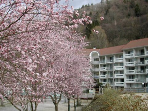 Residence les Silènes - Camping Isère - Image N°2