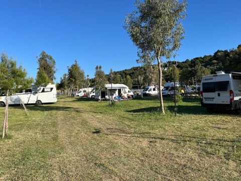 BirdWatching parking Zoe - Camping Foggia - Image N°18