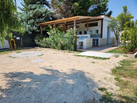 BirdWatching parking Zoe - Camping Foggia - Image N°4