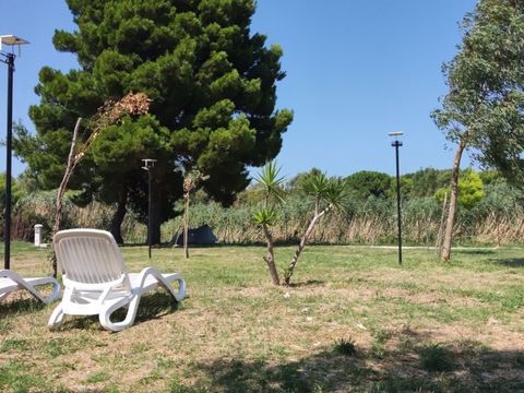 BirdWatching parking Zoe - Camping Foggia - Image N°10