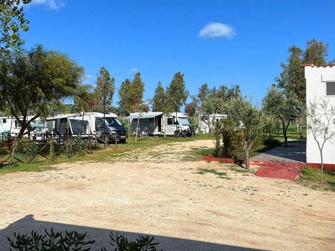 BirdWatching parking Zoe - Camping Foggia - Image N°14