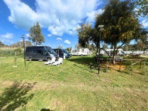 BirdWatching parking Zoe - Camping Foggia - Image N°13
