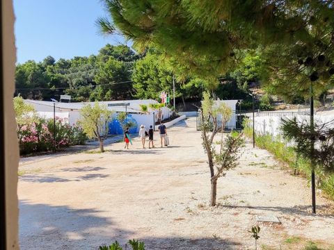 BirdWatching parking Zoe - Camping Foggia - Image N°3