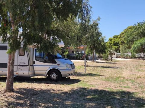 BirdWatching parking Zoe - Camping Foggia - Image N°9