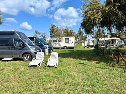 BirdWatching parking Zoe - Camping Foggia - Image N°12