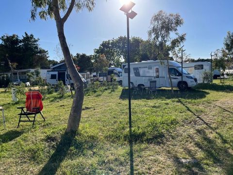 BirdWatching parking Zoe - Camping Foggia - Image N°19
