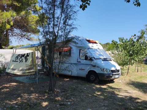 BirdWatching parking Zoe - Camping Foggia - Image N°2