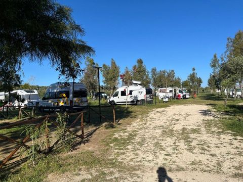 BirdWatching parking Zoe - Camping Foggia - Image N°16