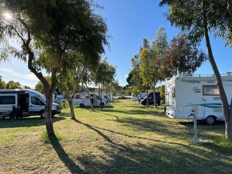 BirdWatching parking Zoe - Camping Foggia - Image N°17