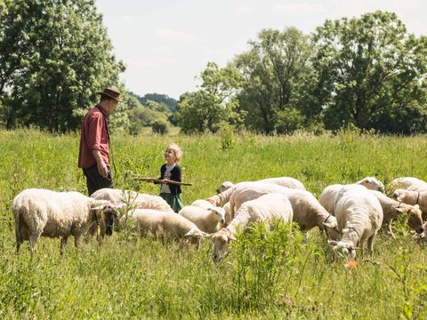 Tour Opérateur sur Vakantiepark de Bergen - Camping Sint Anthonis - Image N°14