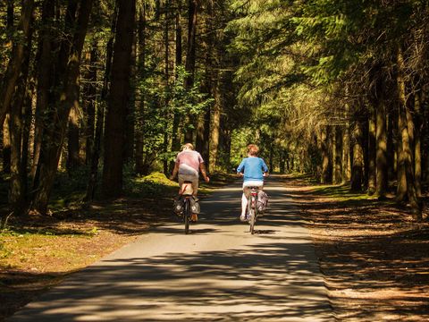 Tour Opérateur sur Vakantiepark de Bergen - Camping Sint Anthonis - Image N°5
