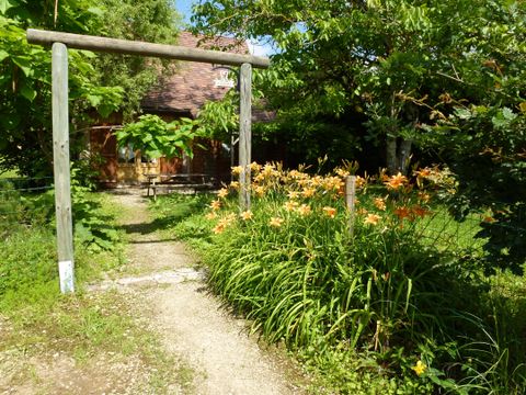 Gîte 5 personnes - Gîte - Maison de vacances 55m²