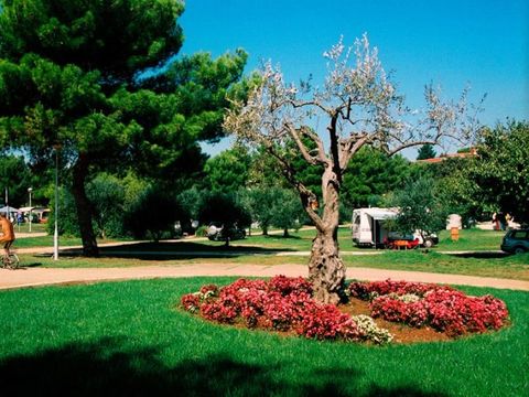 Camping Koversada Park Camping Resort - Camping Istrie - Image N°3