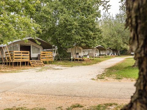 Tente en toile et en bois 5 personnes - Naturist Solaris - Tente Safari de luxe