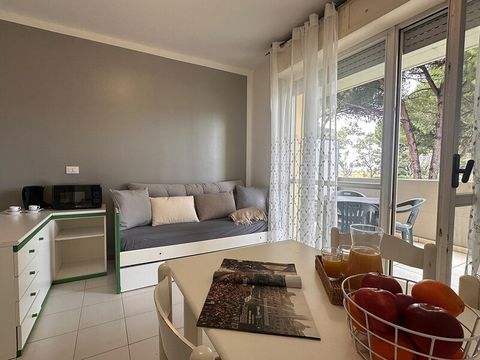 APPARTEMENT 4 personnes - Appartement 4 personnes - 1 chambre - Climatisé - Terrasse - Rénové