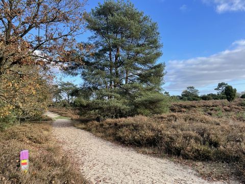 Vakantiepark De Kremmer - Camping Aa und Hunze - Image N°10