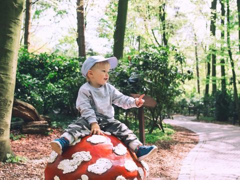 Summio Bosparc de Hoevenaer - Camping Halderberge - Image N°8