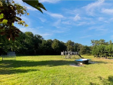 Summio Bosparc de Hoevenaer - Camping Halderberge - Image N°2