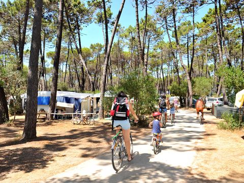 Campeggio Baia Verde - Camping Grosseto - Image N°13