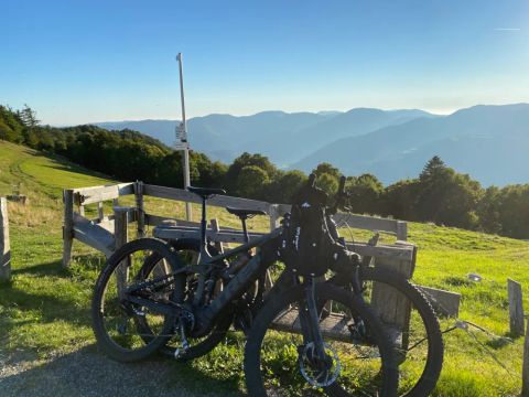 Natur'camp Alsace - Camping Haut-Rhin - Image N°6
