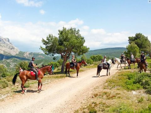 FranceComfort Domaine de Castellane - Camping Alpes-de-Haute-Provence - Image N°27