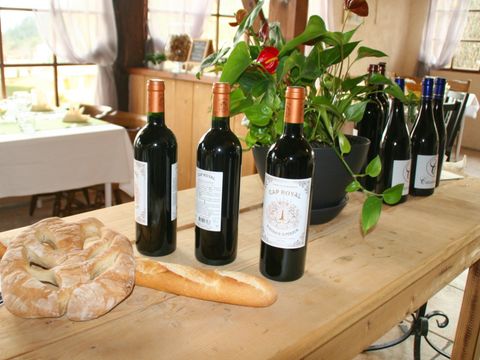 FranceComfort Domaine de Castellane - Camping Alpes-de-Haute-Provence - Image N°34