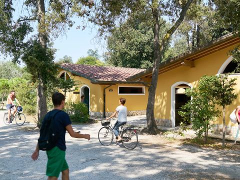 Europe Tents Campeggio Paradiso - Camping Lucques - Image N°3