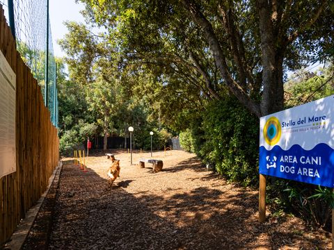 Club del Sole Stella del Mare Family Collection - Camping Grosseto - Image N°11