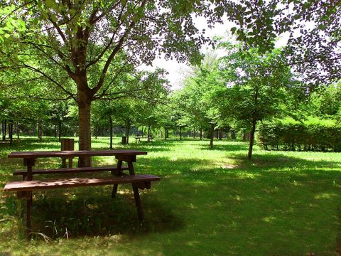 Bologna Easy Camping Village - Camping Modène - Image N°2